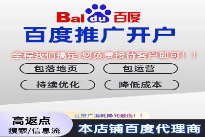 深度解析：百度竞价代理的优化策略与成功案例